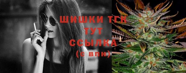 винт Бородино