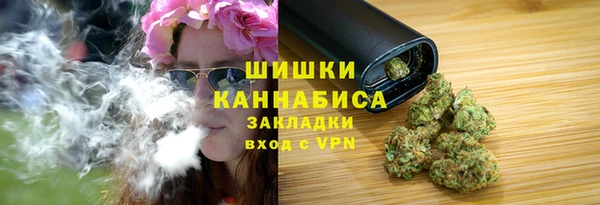сатива Сосновоборск